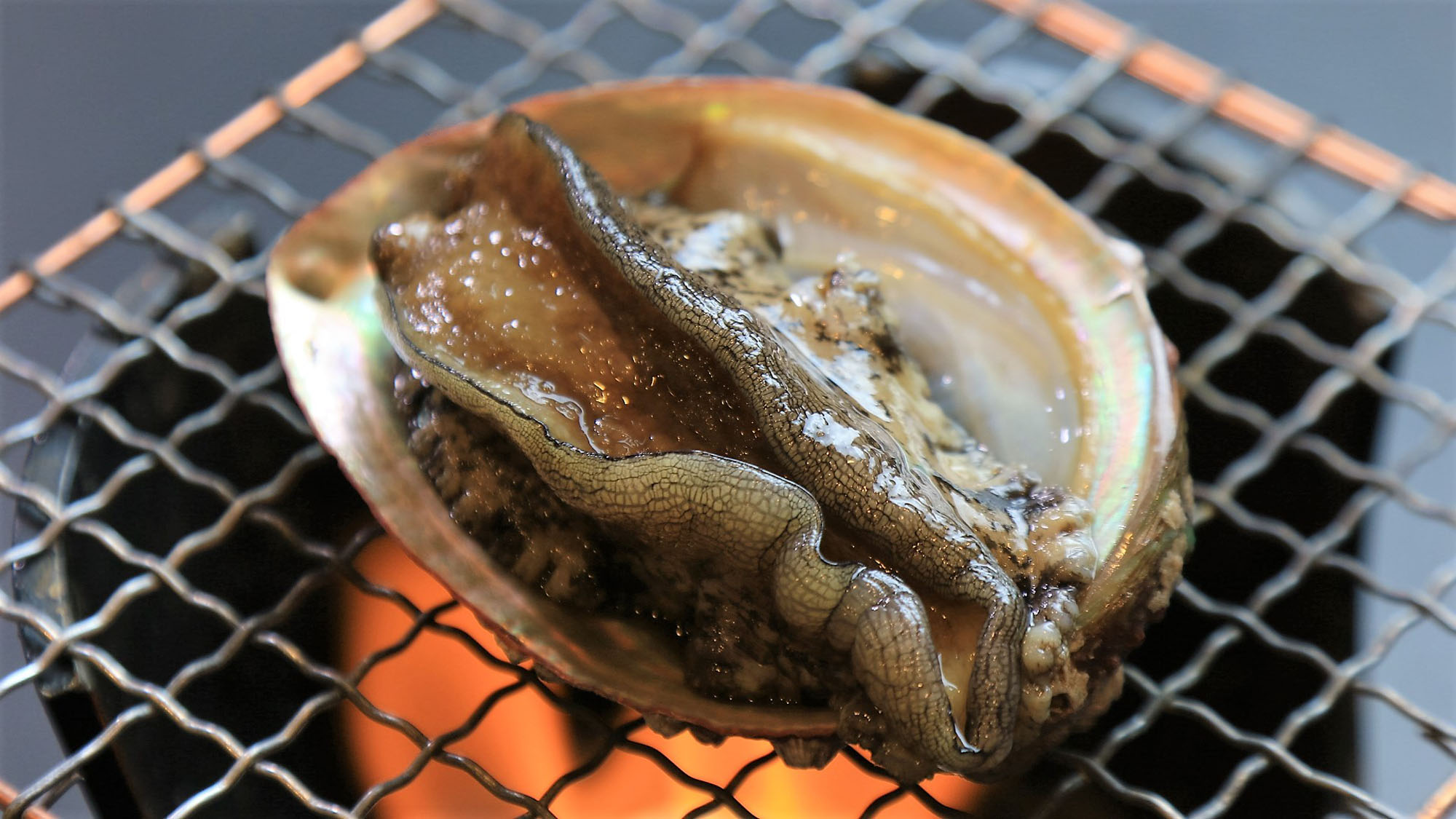 料理_夕食_あわび踊焼き*