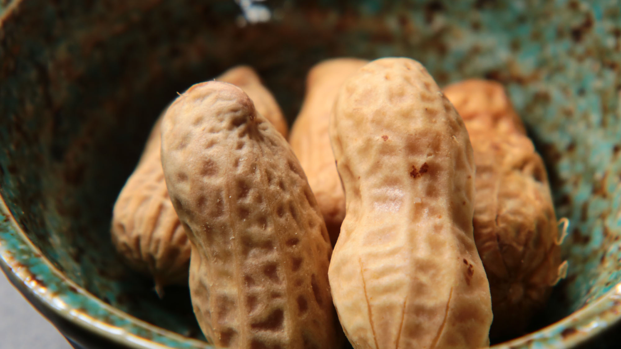 料理_夕食_小鉢*