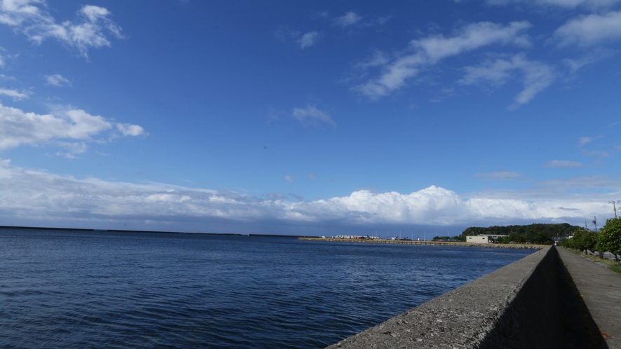 当館の周辺では透明な海が見えます。