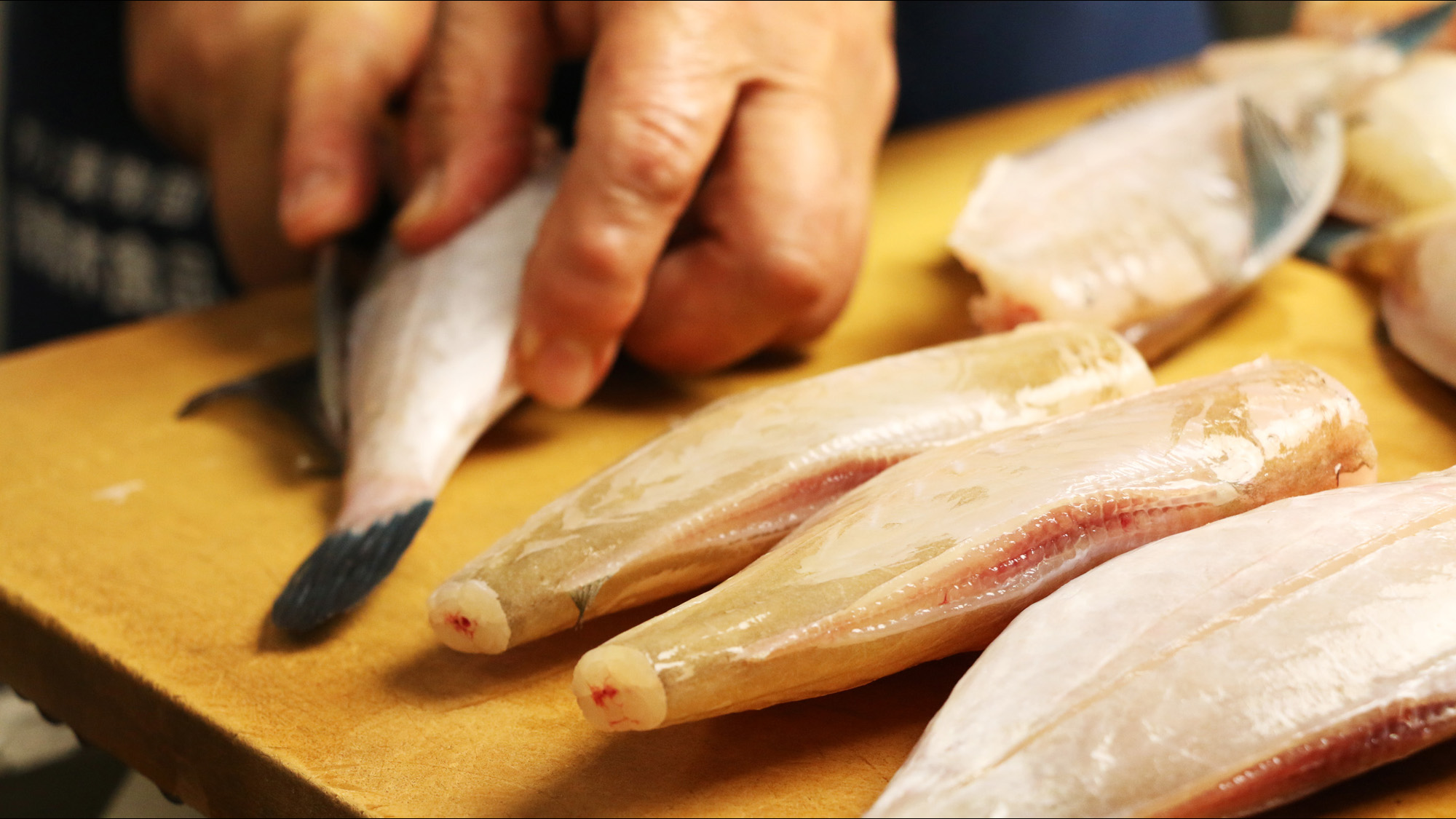 その日水揚げされた新鮮な魚介類