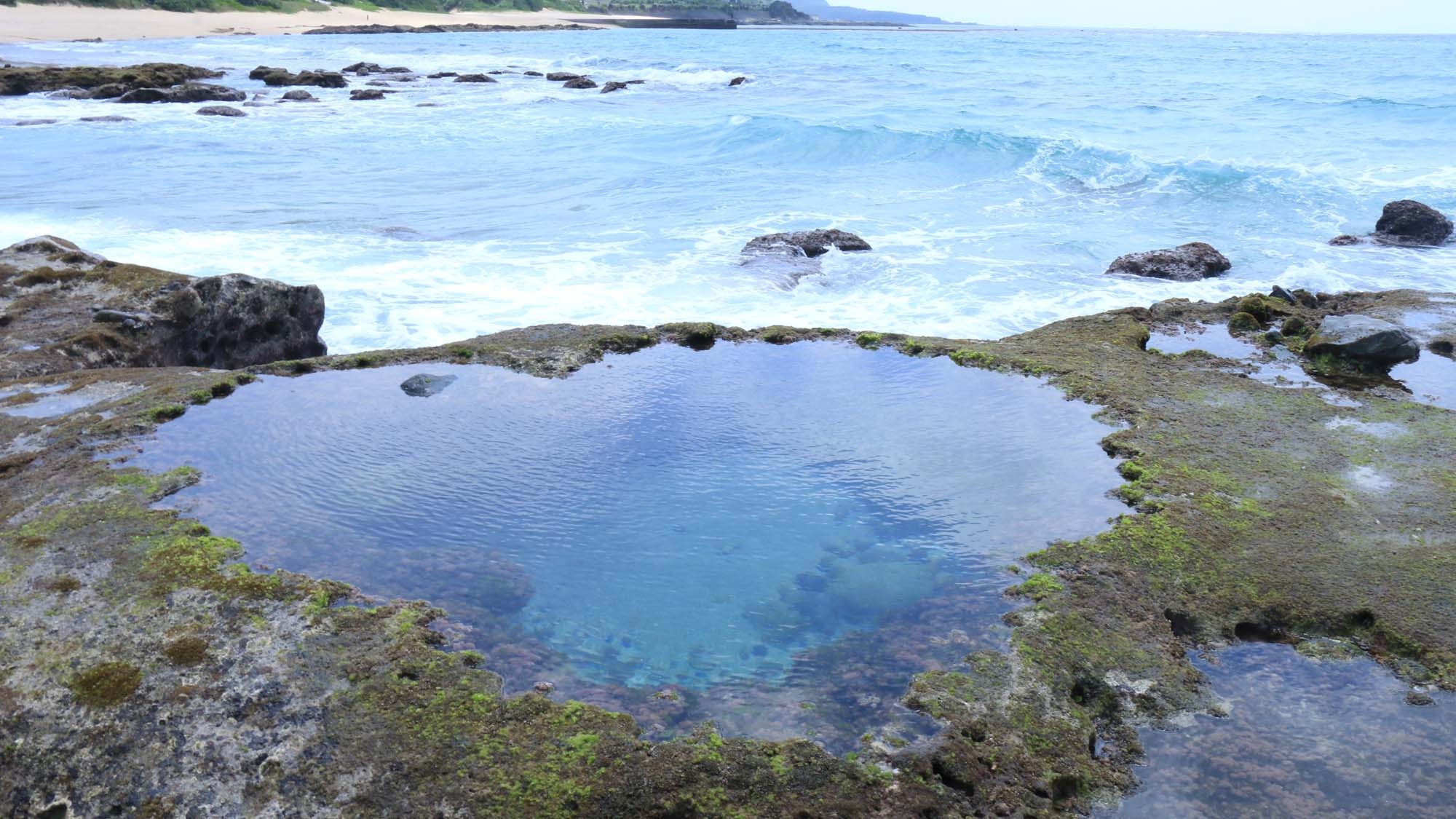 ◆ 亀シュノーケリングツアー ◆奇跡の島☆奄美の海へ冒険にでかけませんか？ウミガメと一緒に泳ごう！