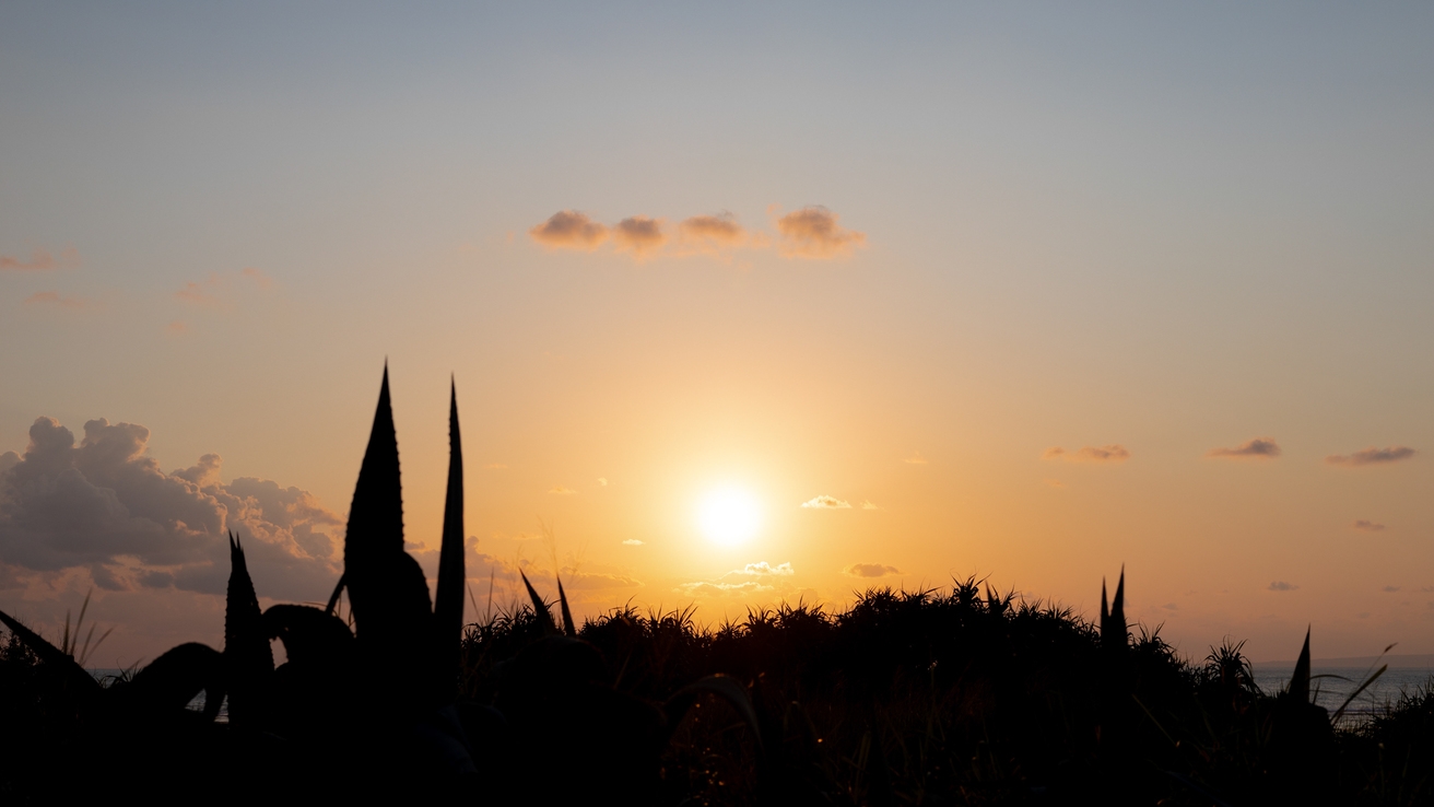 【朝食付き】水平線から昇る朝日を見てHAPPYな1日をスタート♪