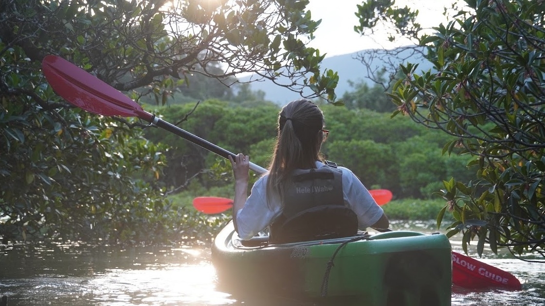 【マングローブカヌーツアー】風光の島☆奄美の大自然に触れる体験〜マングローブ林をカヌーで〜