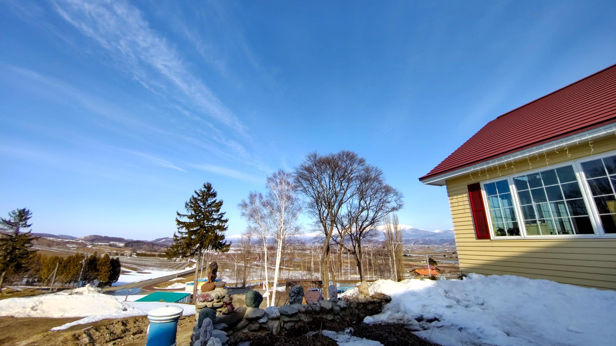 富良野の広大な丘陵風景を望めます