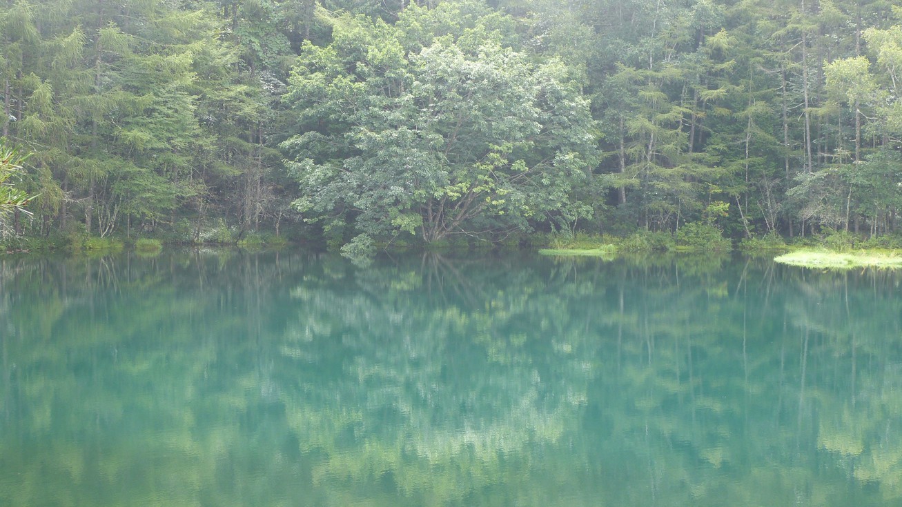 写真5