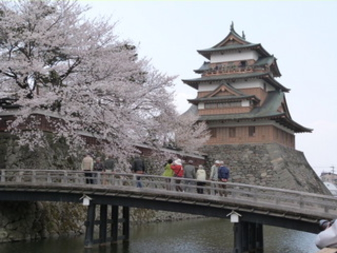 【春】4月中旬　高島城の桜が見頃です