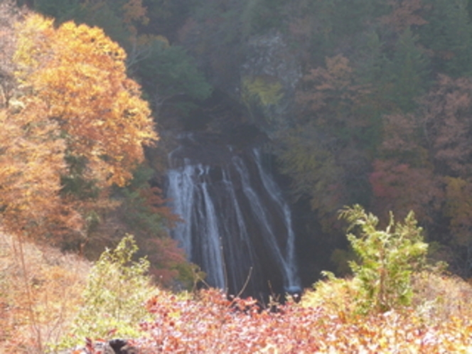 【秋】10月下旬　横谷渓谷の王滝を横谷観音の所から見ました