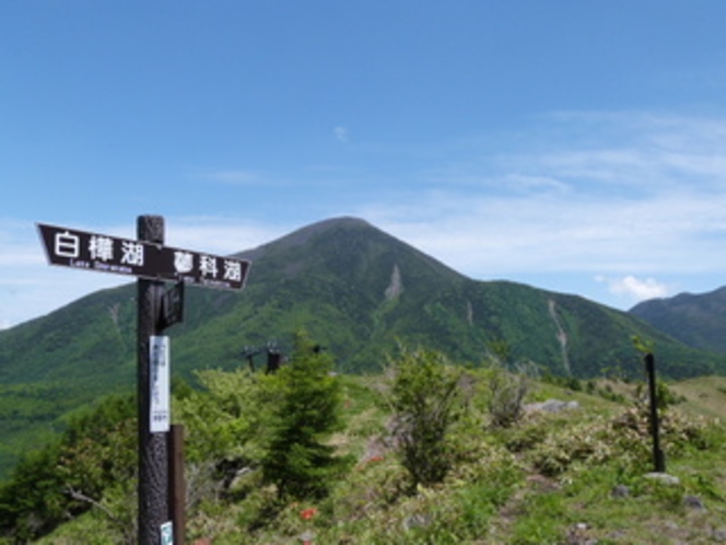 【春】6月　八子ケ峰西峰(1833m)から望む蓼科山です