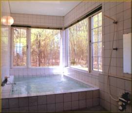Ultrasonic bath 2