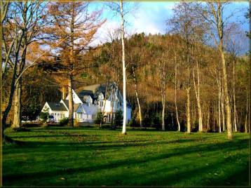 Late Autumn
