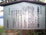 写真6