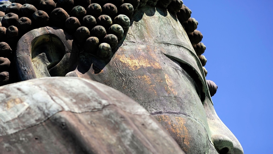 高徳院鎌倉大仏　国宝銅造阿弥陀如来坐像　「露坐の大仏」像高約１１、３ｍ重量約１２１ｔ 