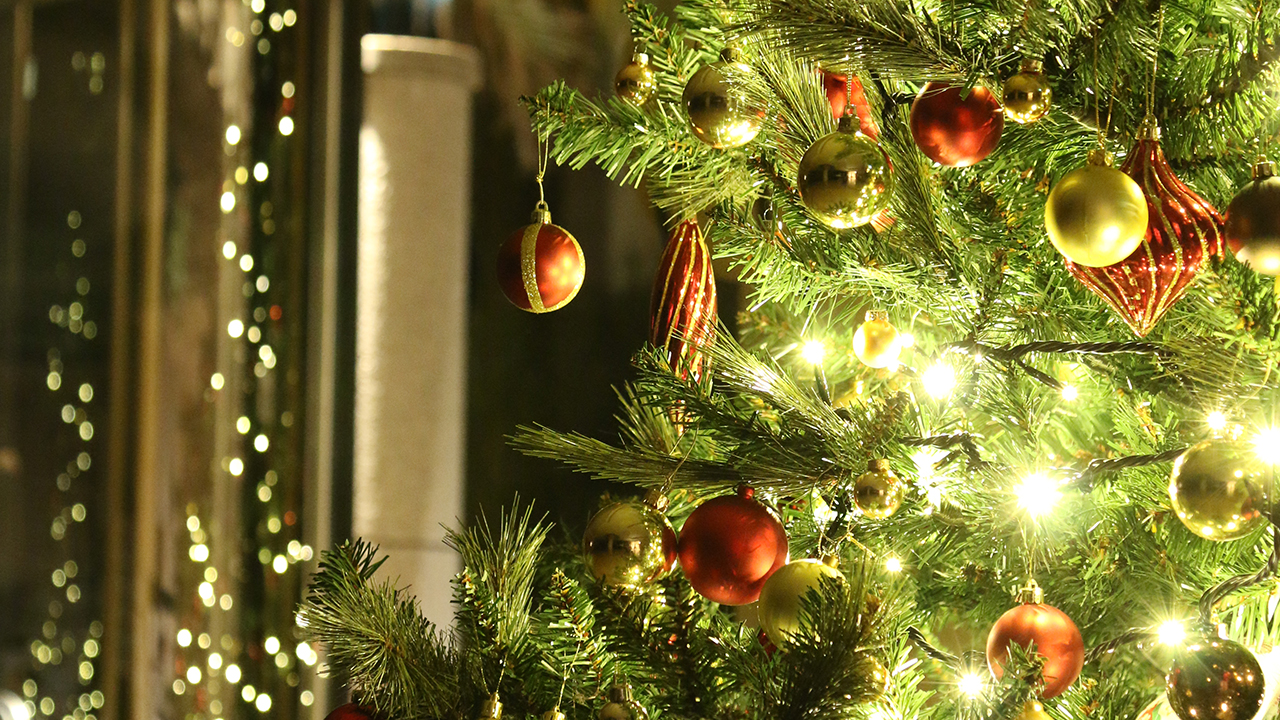 クリスマスツリー　館内が１年で最も色鮮やかに輝く季節です