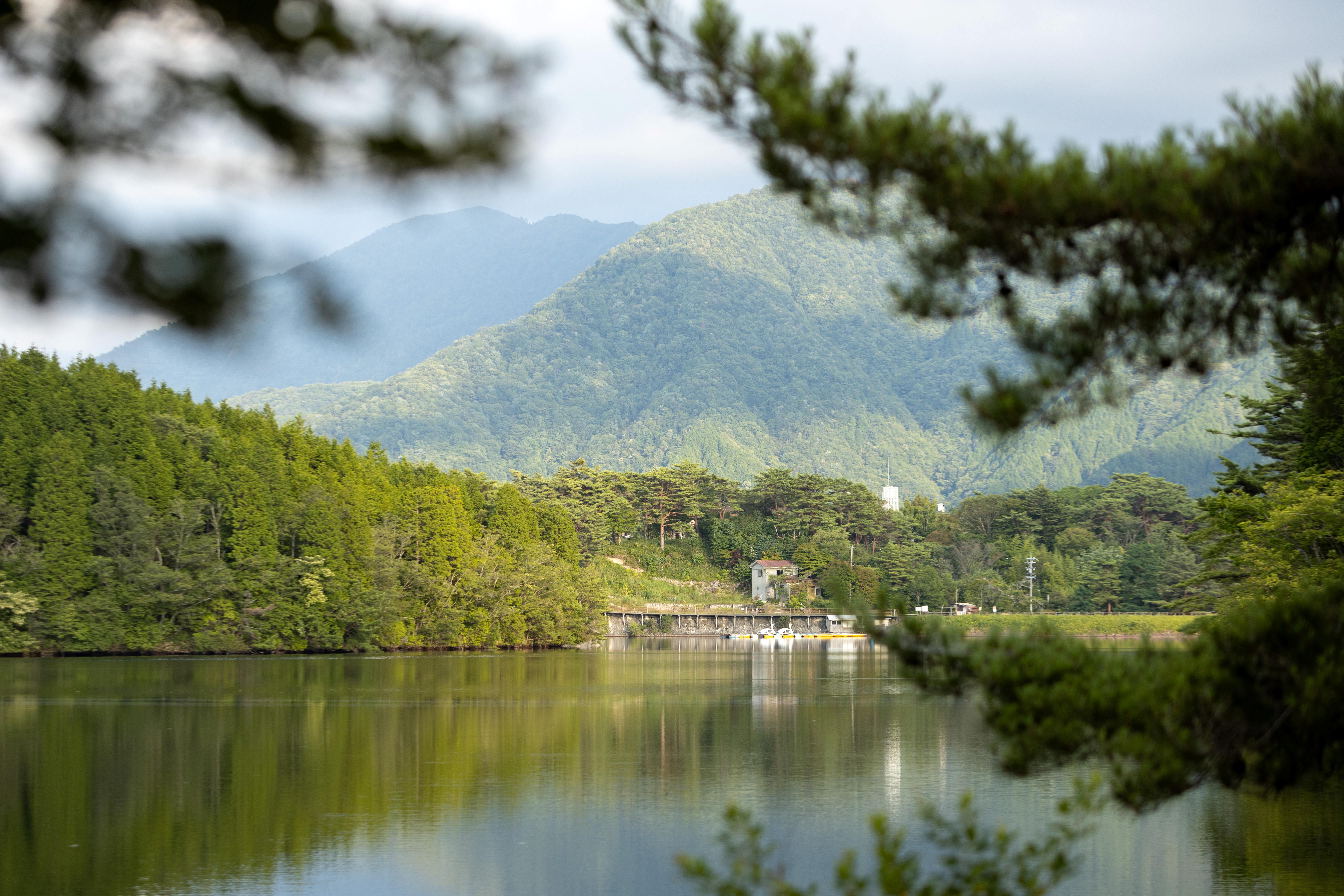 保古の湖　湖畔