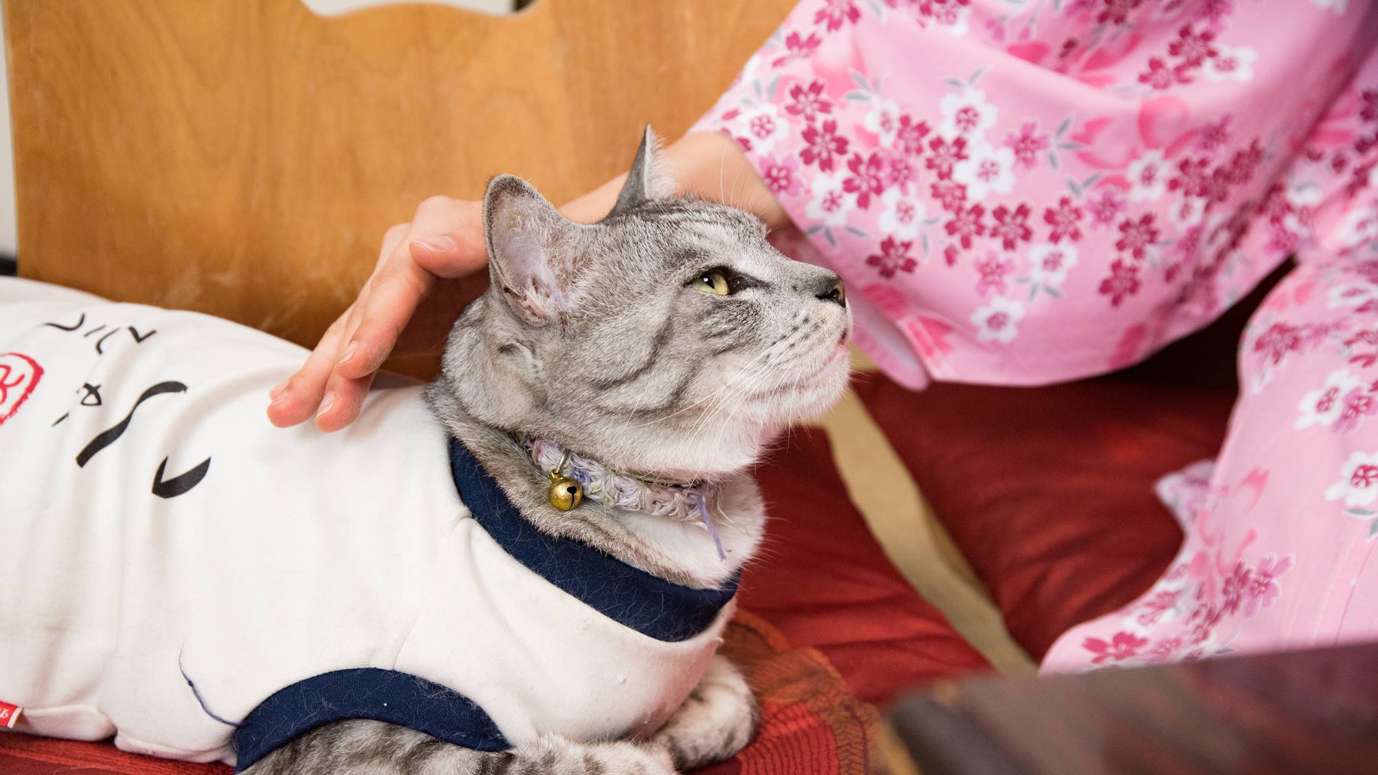 【朝食付】湯畑が本当に目の前♪源泉掛け流し＜天然畳の貸切風呂・御座敷風呂5種＞満喫！