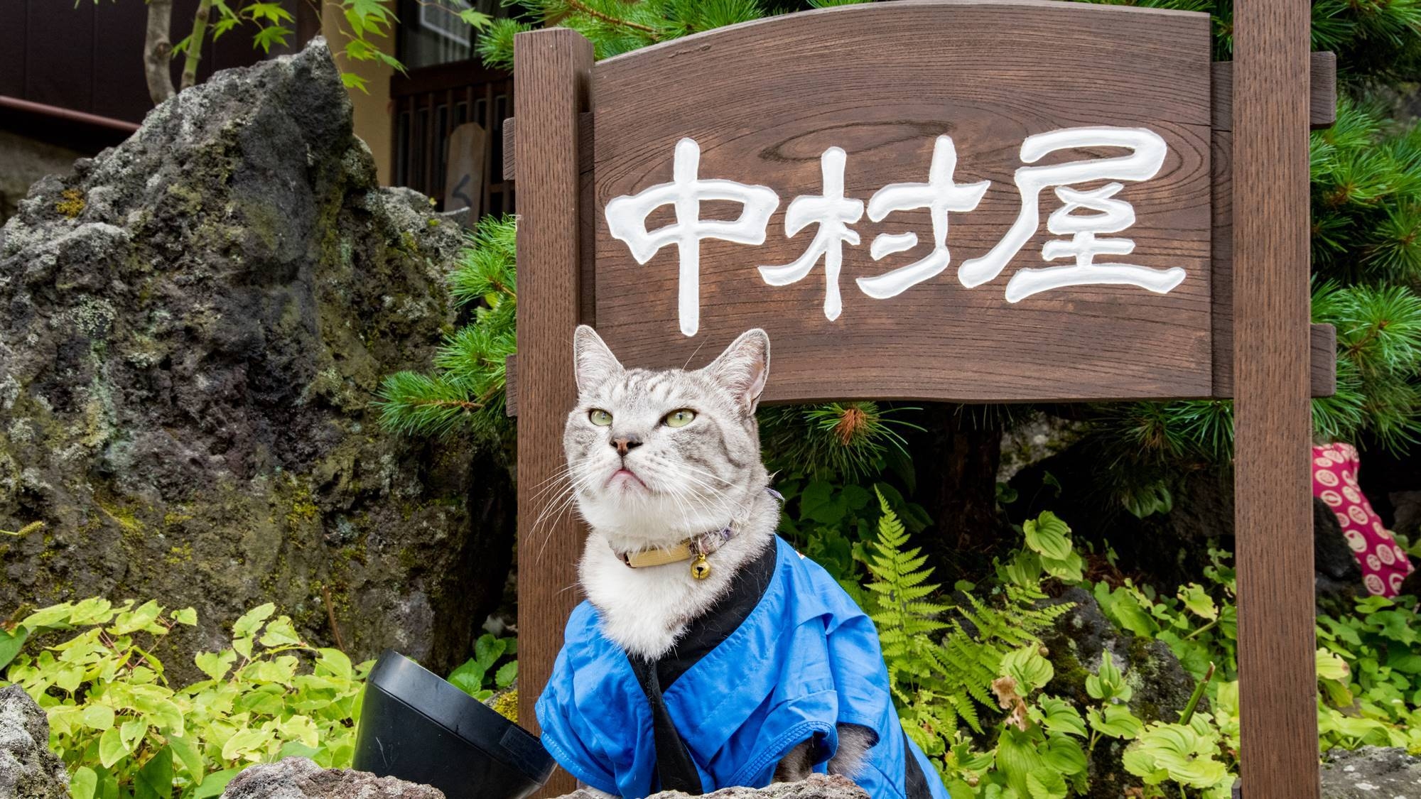 【シルバーアワード2024】このプランのみ★特別ドリンク１杯無料！ゆったり草津を満喫【２食付】
