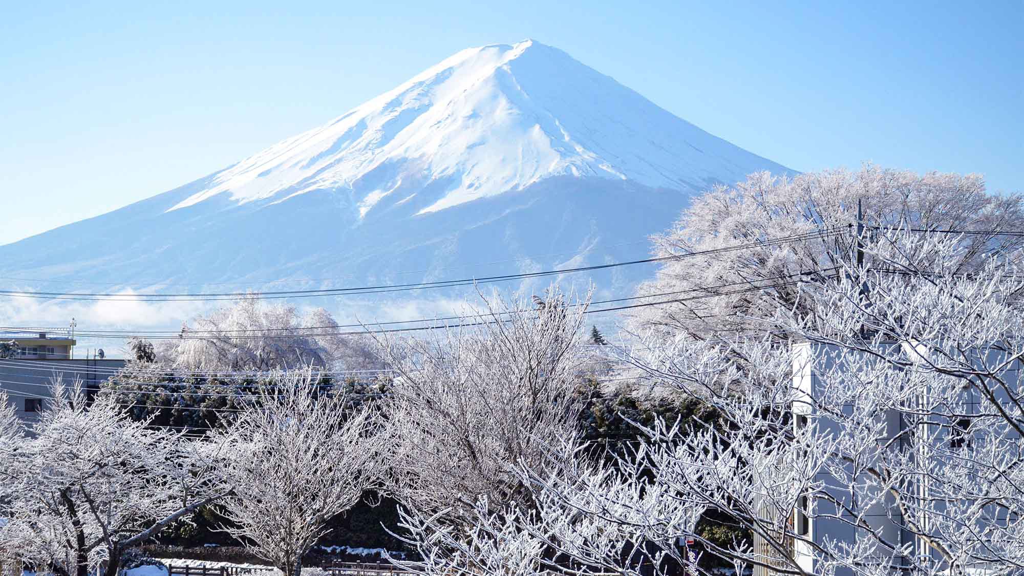 お手軽【素泊まり】プラン！富士山の見える温泉宿で家庭的なご滞在を♪チェックイン22時までOK