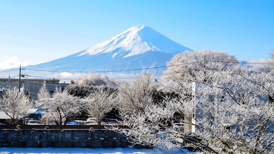 ・冬には雪景色と富士山を楽しむことができます