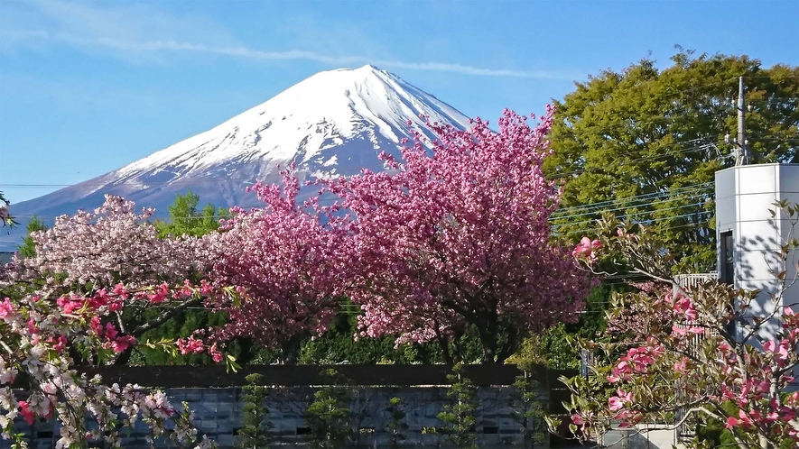 ・お部屋から富士山を見ることが出来ます