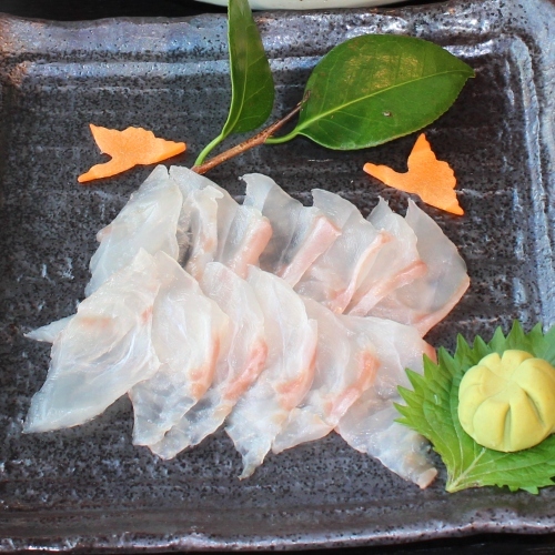 好評につき今年も販売！◎注目◎冬季限定！高級魚クエと南紀の地魚刺身を堪能！お気軽プラン♪