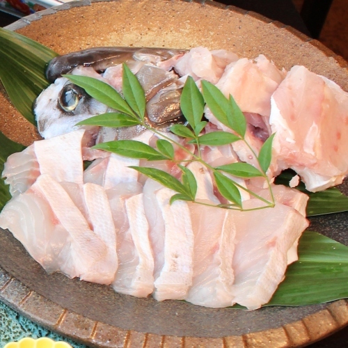 好評につき今年も販売！◎注目◎冬季限定！高級魚クエと南紀の地魚刺身を堪能！お気軽プラン♪