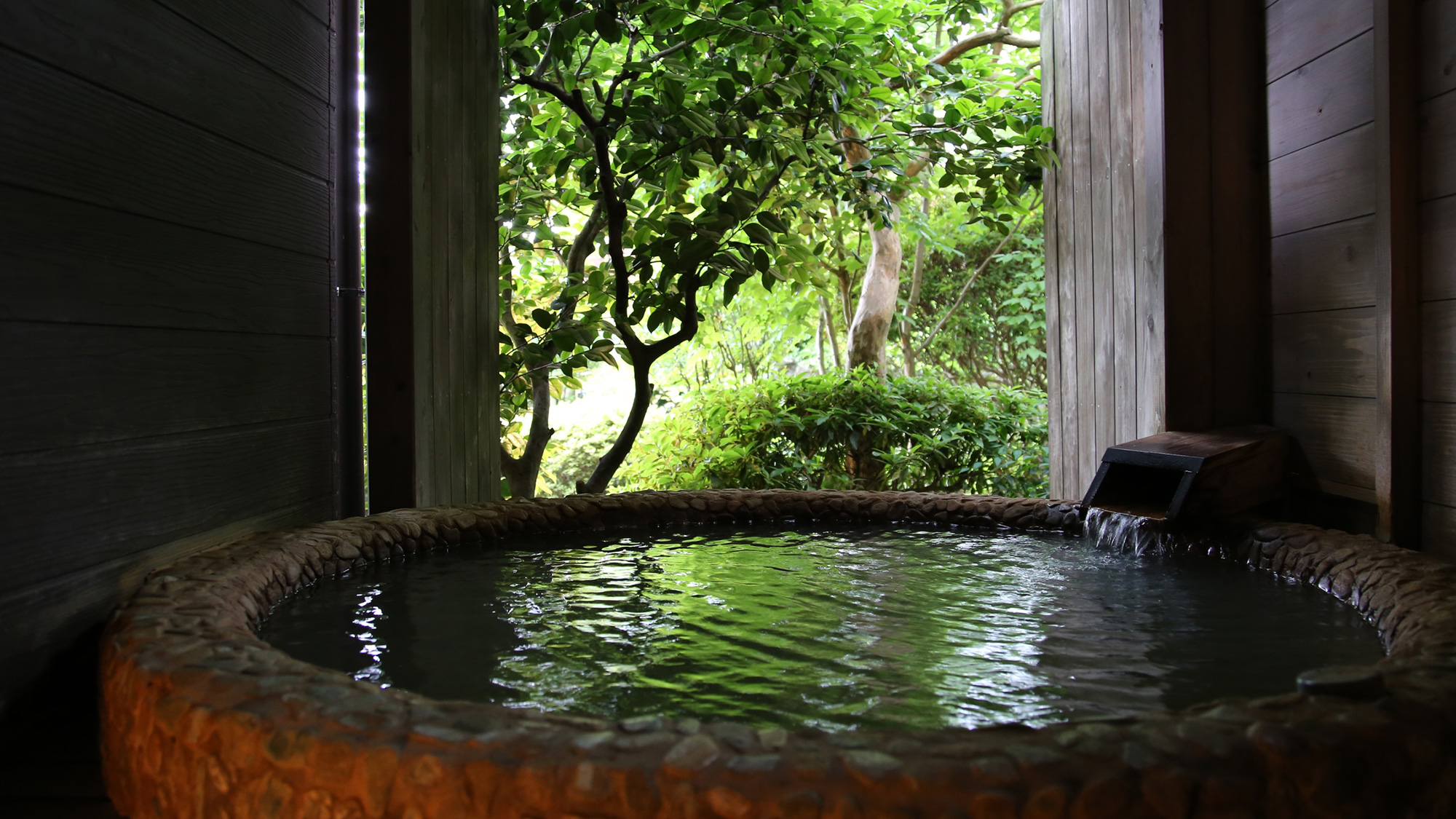 緑と温泉のコントラスト