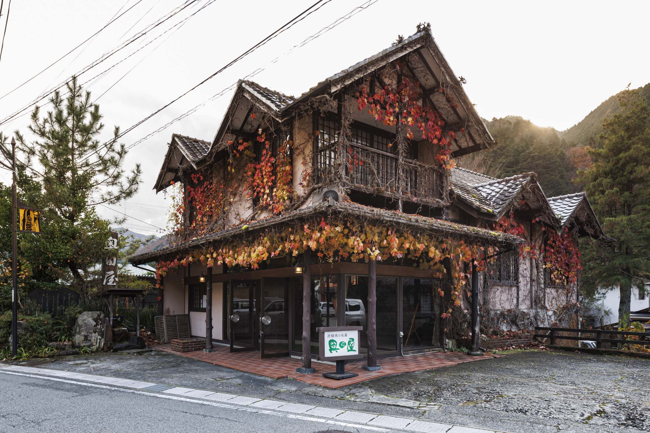 つたの紅葉