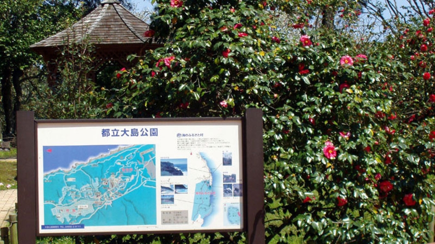 ＊【周辺観光】大島公園/公園内には入園無料の動物園などもございます。