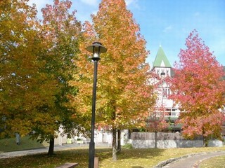 紅葉の美しいホテル周り