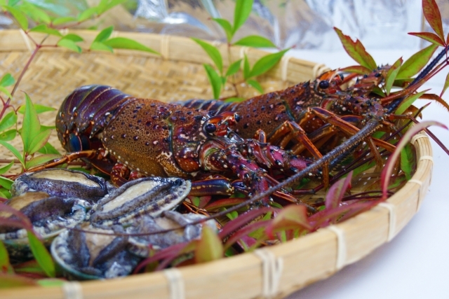 【量より質】女性＆ご年配の方におすすめ！3大味覚「伊勢海老・アワビ・黒毛和牛」を少しずつ＜夕朝食付＞