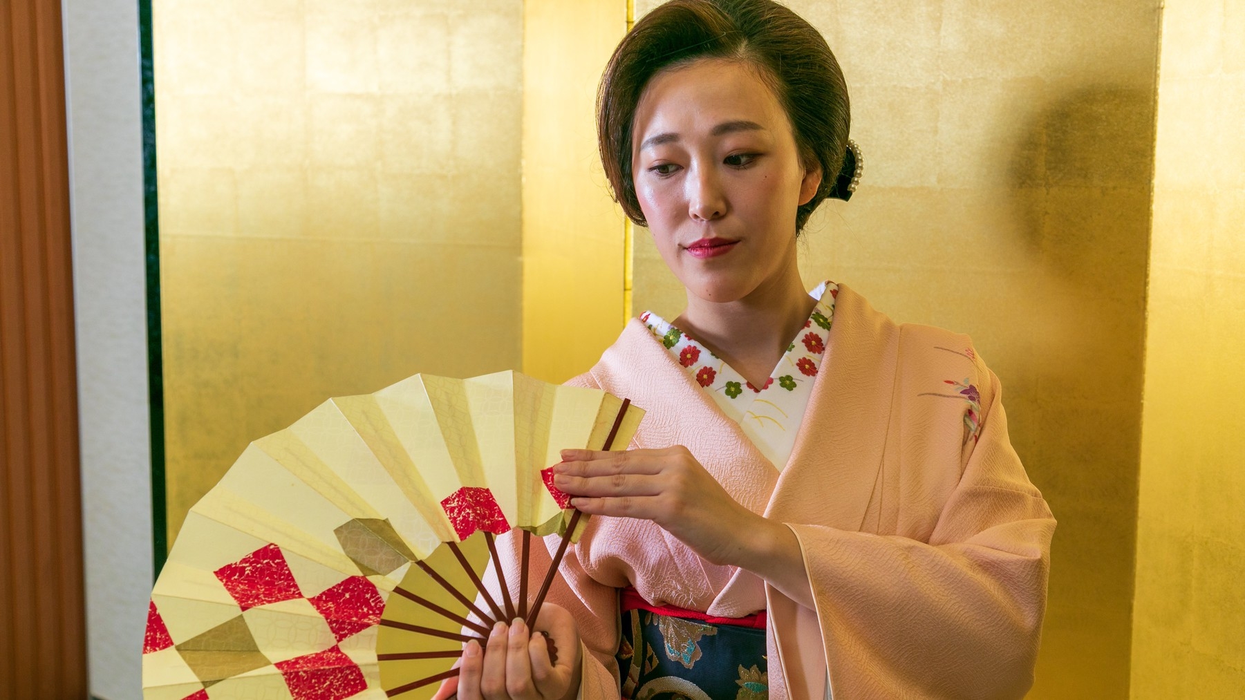 【お座敷遊び体験プラン】芸者と日本伝統芸と文化を愉しむ特別ステイ(一泊二食付)
