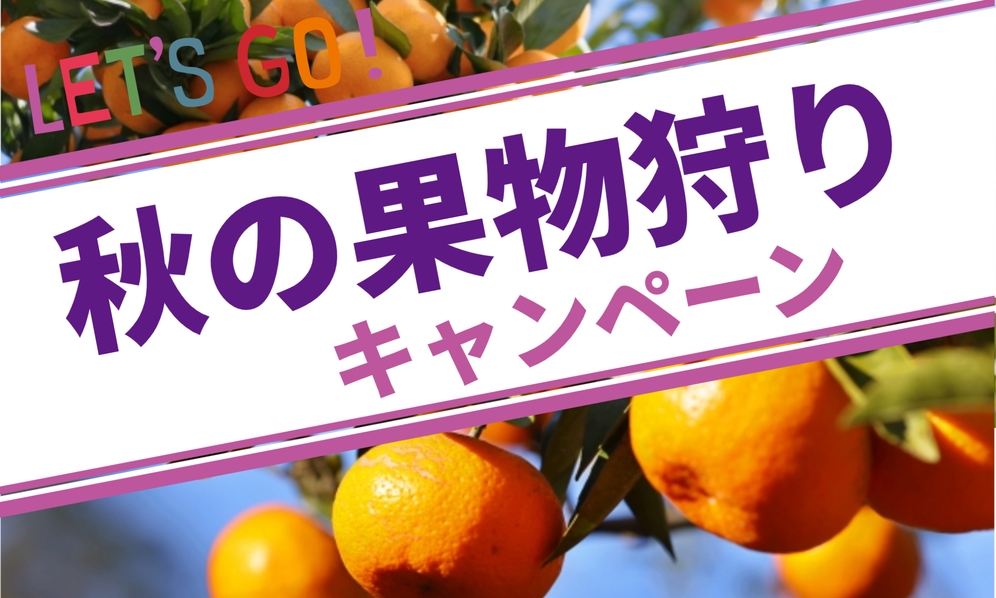【 みかん収穫体験 】クッチェッタコース ◆三ケ日みかん収穫体験チケット付きプラン