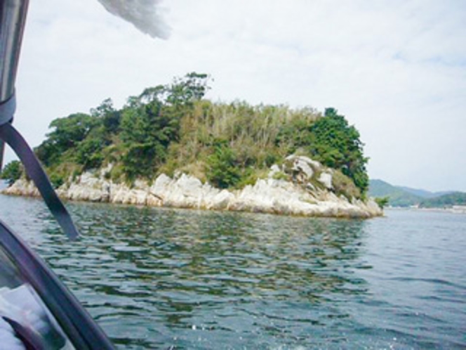 クッチェッタ前の桟橋から出港！こちらは浜名湖唯一の島です。
