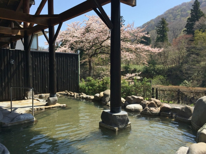 【男性用露天風呂】桜の季節