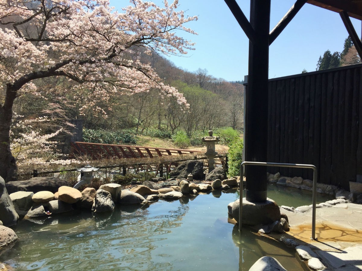 【女性用露天風呂】桜の季節