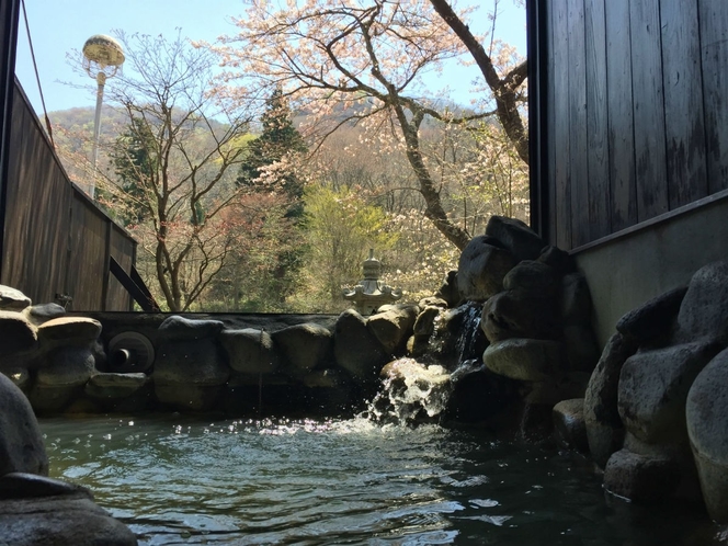 【貸切露天風呂】「大谷川」桜の季節