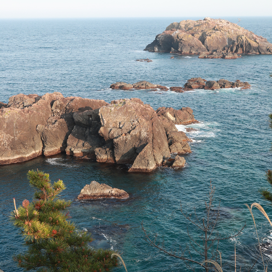 荒波たけだけしい龍舞崎（当館から車10分）