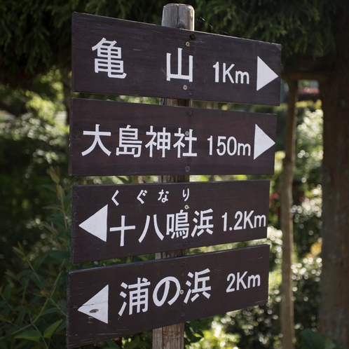 鳴き砂の十八鳴浜、太平洋を一望する亀山山頂まですぐ♪