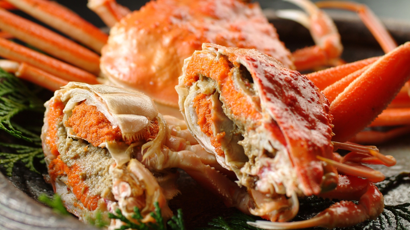 【カニ食べ比べプラン】欲張りなあなたへ◎”量も質も”どちらも妥協なし！活松葉ガニ＆冷凍ガニ食べ比べ