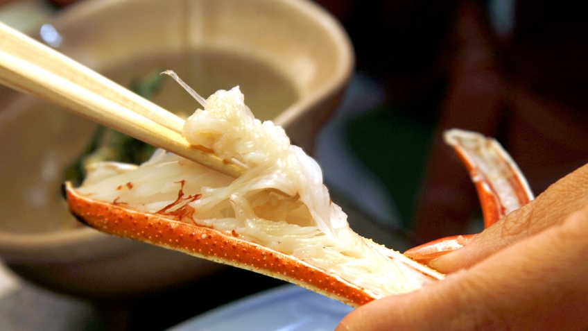 【日帰り】【竹】カニ食べつくしプラン