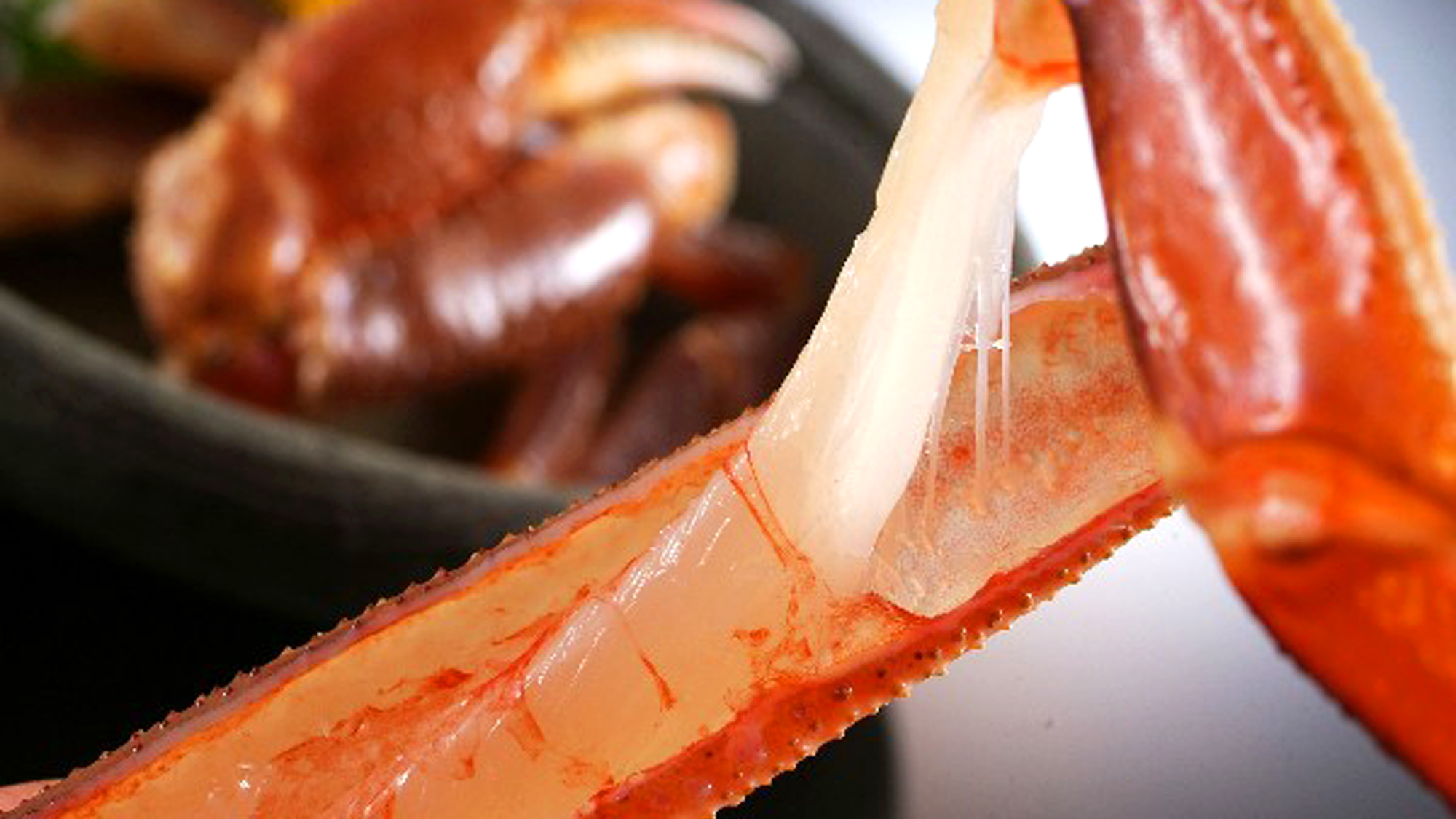 活蟹の旨みと甘みをご堪能ください！