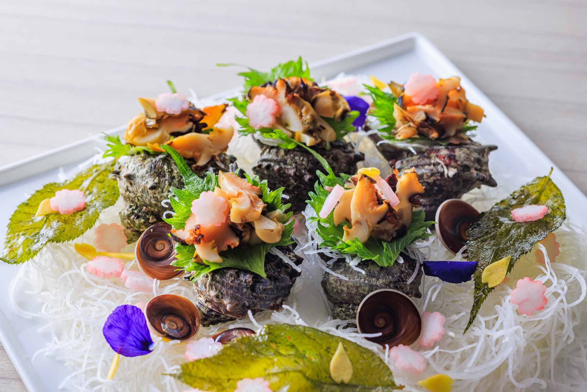 2026年春メニュー一例