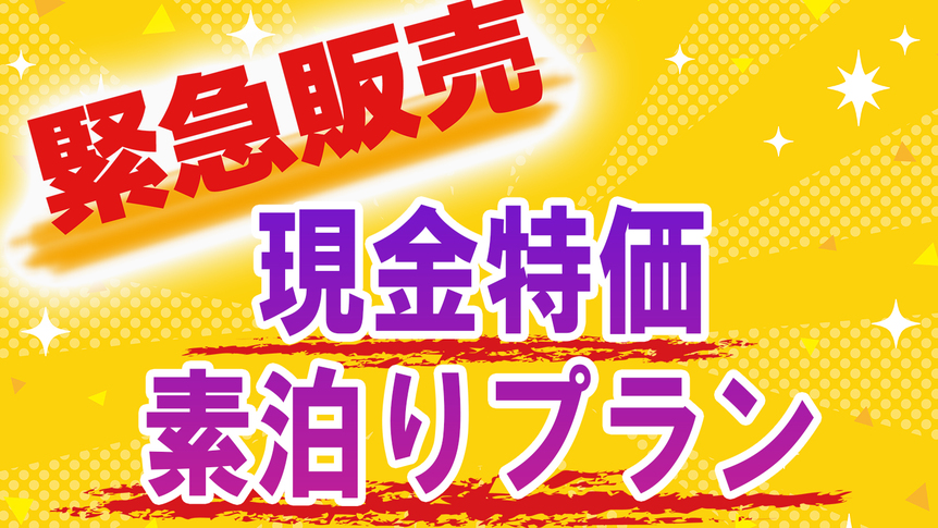 【現金特価＆布団敷きはセルフ】◆≪期間限定緊急企画≫★市街地側客室限定★現金精算でお得に素泊りプラン