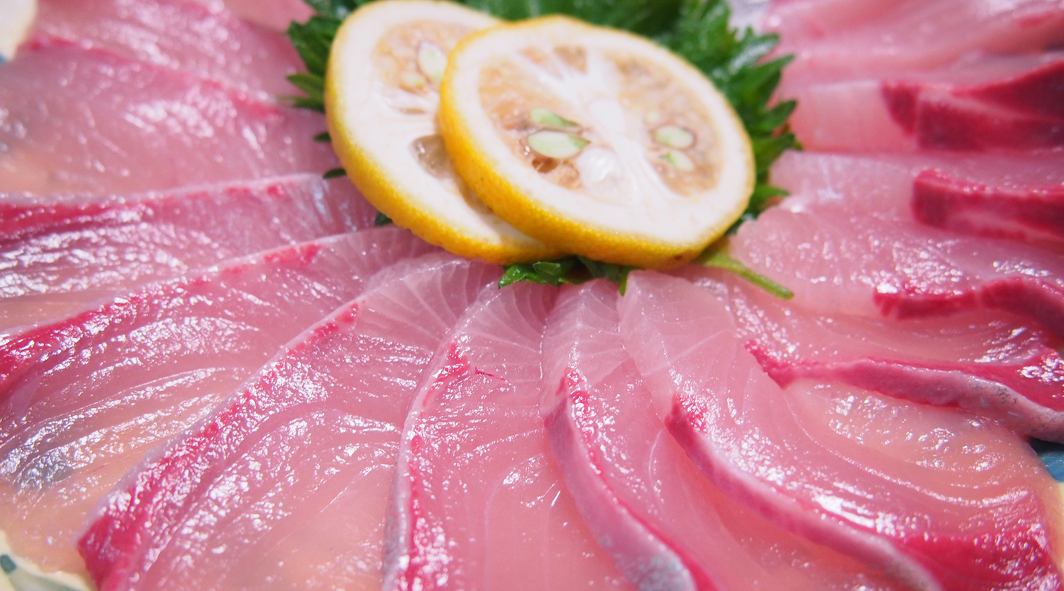 カンパチしゃぶ