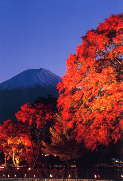 河口湖温泉 山岸旅館 - 写真 250