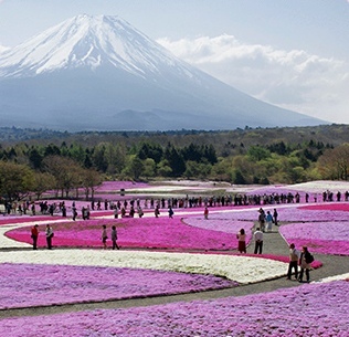 河口湖温泉 山岸旅館 - 写真 228