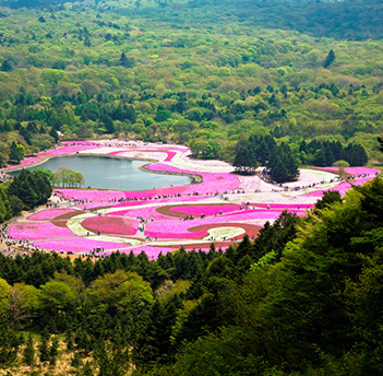 河口湖温泉 山岸旅館 - 写真 230