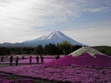 河口湖温泉 山岸旅館 - 写真 253