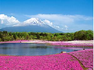河口湖温泉 山岸旅館 - 写真 227