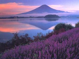 河口湖・ハーブ・富士山